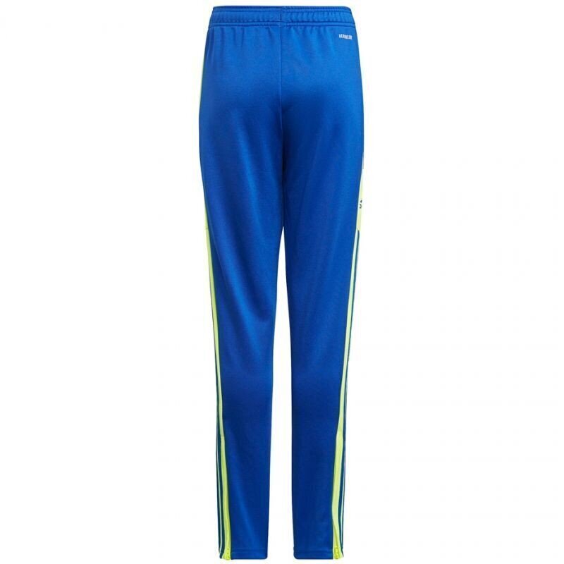 Sporta bikses zēniem Adidas Squadra 21 Training Pant Youth Jr GP6449 cena un informācija | Bikses zēniem | 220.lv