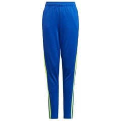 Sporta bikses zēniem Adidas Squadra 21 Training Pant Youth Jr GP6449 цена и информация | Штаны для мальчиков | 220.lv