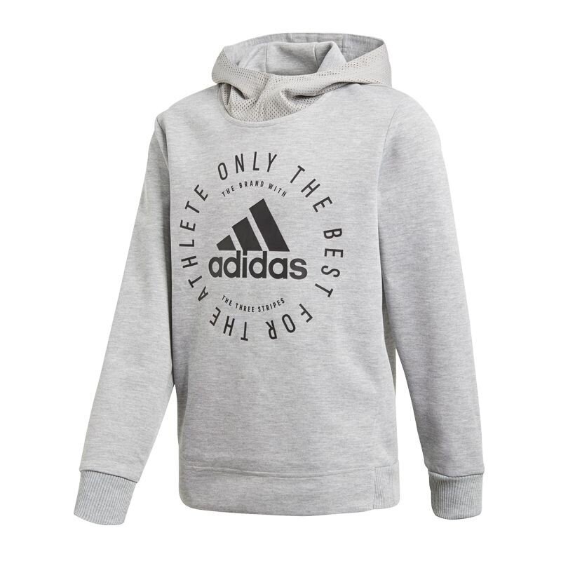 Džemperis zēniem Adidas Sport ID HD Junior DV1701, pelēks цена и информация | Zēnu jakas, džemperi, žaketes, vestes | 220.lv