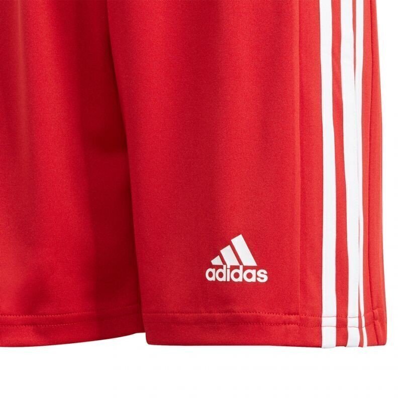 Sporta šorti zēniem Adidas Squadra 21 Short Youth Jr GN5761 цена и информация | Zēnu šorti | 220.lv