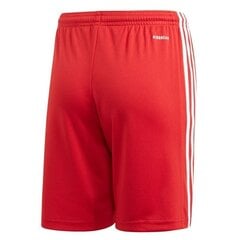 Sporta šorti zēniem Adidas Squadra 21 Short Youth Jr GN5761 cena un informācija | Zēnu šorti | 220.lv