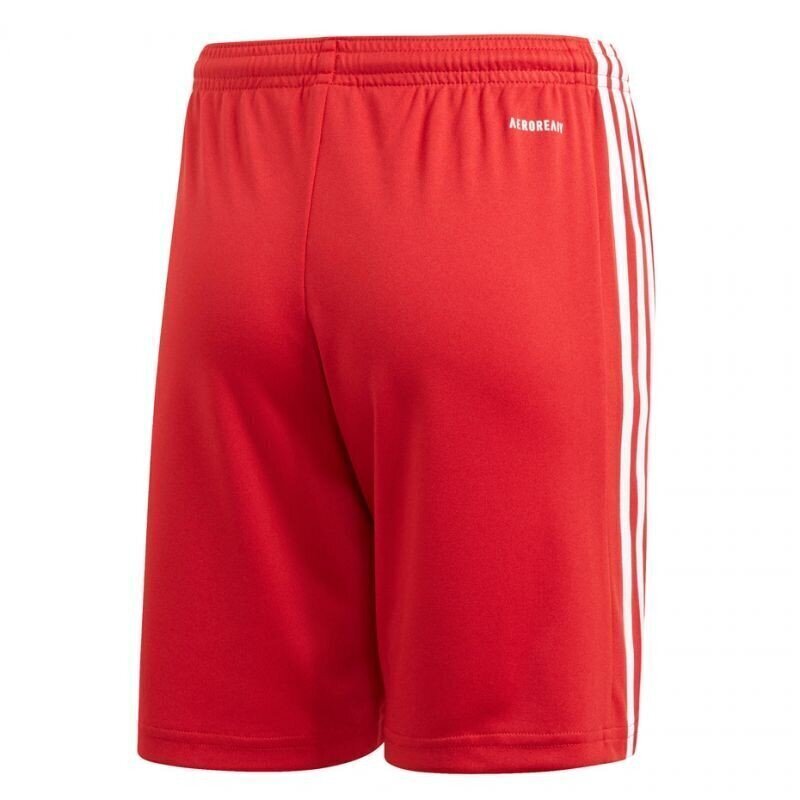 Sporta šorti zēniem Adidas Squadra 21 Short Youth Jr GN5761 цена и информация | Zēnu šorti | 220.lv