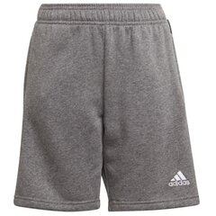 Спортивные шорты для мальчиков Adidas Tiro 21 Sweat Short Jr GP8806 цена и информация | Шорты для мальчиков | 220.lv