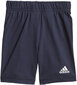 Adidas Sporta Tērpi I Bos Sum Set Blue GM8943/98 цена и информация | Komplekti zēniem | 220.lv