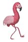 Pinjata Flamingo, 25 x 55 x 8 cm cena un informācija | Svētku dekorācijas | 220.lv