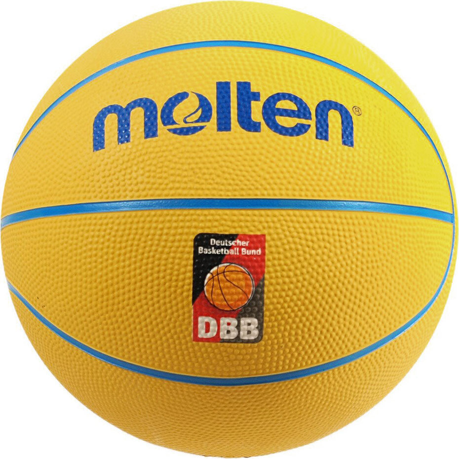 Bumba Molten, 290 g цена и информация | Basketbola bumbas | 220.lv