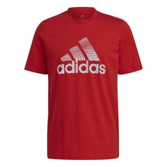 T-krekls adidas Extrusion Motion Puff-Print Logo Graphic cena un informācija | Sporta apģērbs vīriešiem | 220.lv