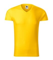 Футболка для мужчин Slim Fit V-neck, черная цена и информация | Мужские футболки | 220.lv