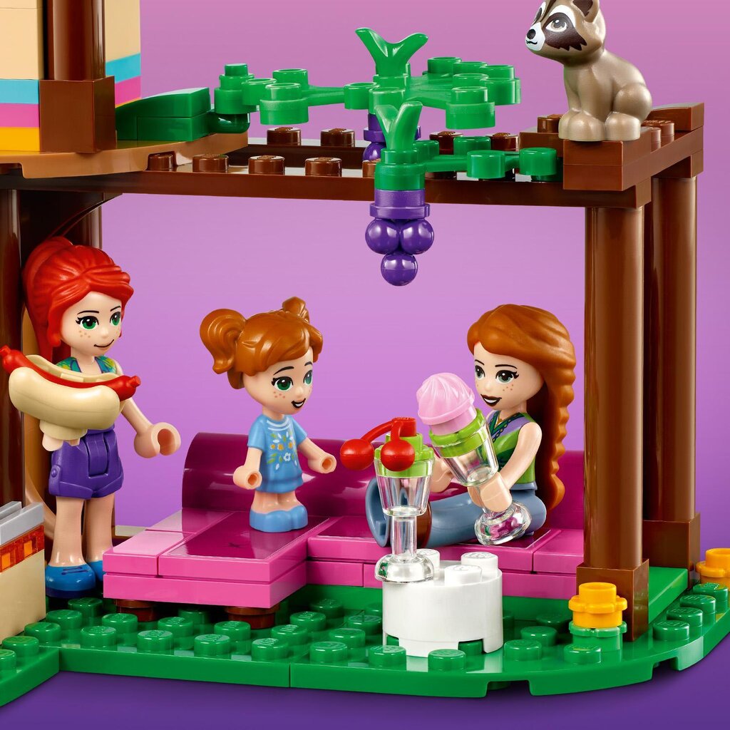 41679 LEGO® Friends Meža māja cena un informācija | Konstruktori | 220.lv