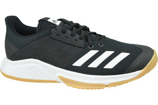 Sporta apavi vīriešiem Adidas Crazyflight Team D97701, melni cena un informācija | Sporta apavi vīriešiem | 220.lv