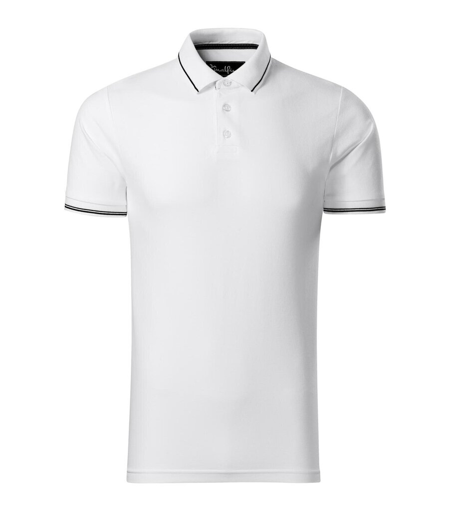 Perfection Plain polo krekls vīriešiem cena un informācija | Vīriešu T-krekli | 220.lv