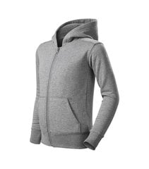 Trendy Zipper džemperis bērniem цена и информация | Свитеры, жилетки, пиджаки для мальчиков | 220.lv