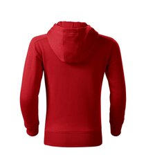 Trendy Zipper džemperis bērniem cena un informācija | Zēnu jakas, džemperi, žaketes, vestes | 220.lv