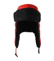 Pūkains beanie Unisex cena un informācija | Vīriešu cepures, šalles, cimdi | 220.lv