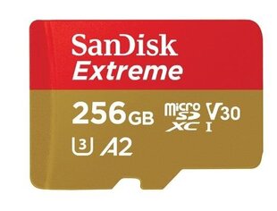 SanDisk Extreme 256GB Memory Card цена и информация | Карты памяти для мобильных телефонов | 220.lv