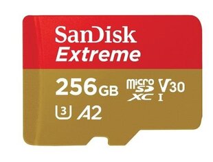 Карта памяти с адаптером SanDisk SDSQXA1-GN6MA 256 GB цена и информация | USB накопители | 220.lv