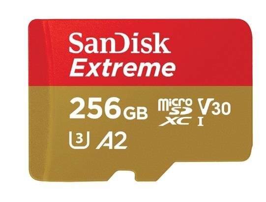 Atmiņas karte - SanDisk SDSQXA1-256G-GN6MA цена и информация | USB Atmiņas kartes | 220.lv