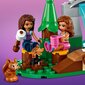 41677 LEGO® Friends Meža ūdenskritums cena un informācija | Konstruktori | 220.lv