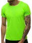Zaļš neona vīriešu krekls "Lika" JS/712005-43358-XXL cena un informācija | Vīriešu T-krekli | 220.lv