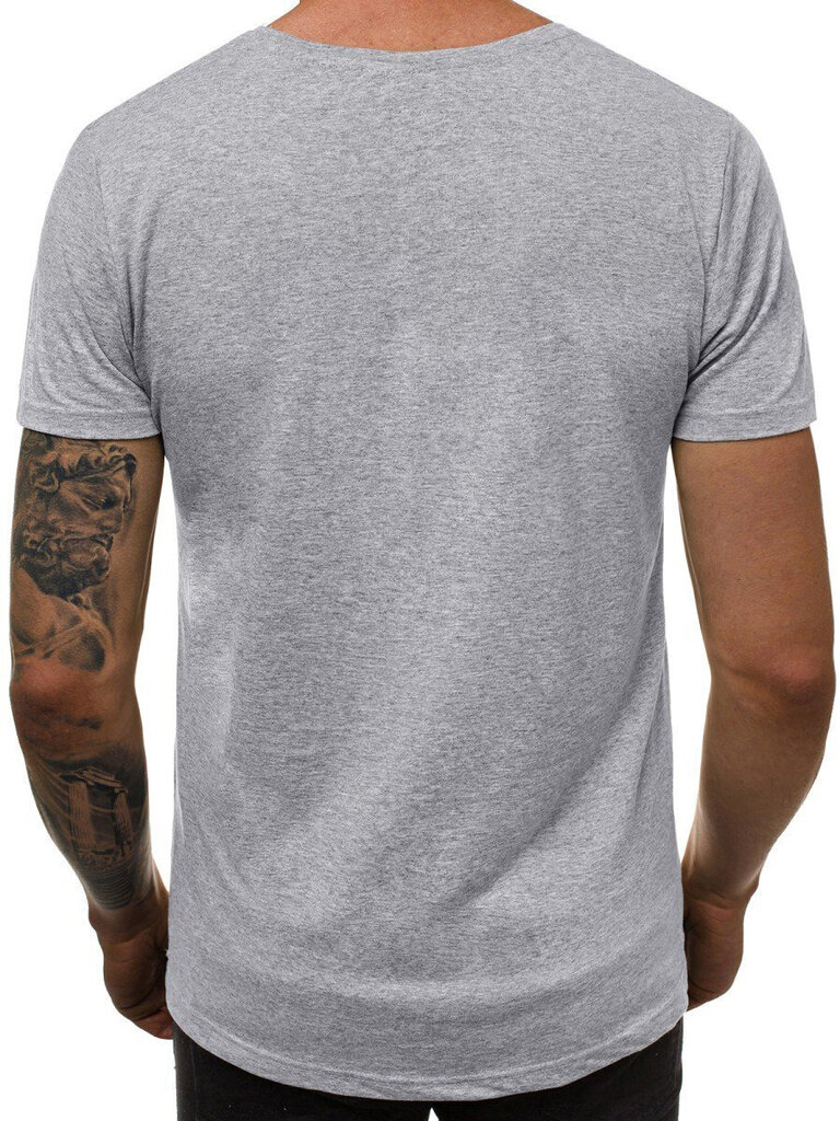 Pelēks vīriešu krekls "Lika" JS/712005-43418-XXL cena un informācija | Vīriešu T-krekli | 220.lv