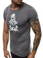 Pelēks vīriešu krekls "Lika" JS/712005-43419-XXL cena un informācija | Vīriešu T-krekli | 220.lv