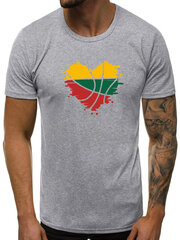 Pelēks vīriešu krekls "Lika" JS/712005-43497-XXL цена и информация | Мужские футболки | 220.lv