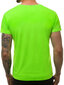Zaļš neona vīriešu krekls "Lika" JS/712005-43545-XXL цена и информация | Vīriešu T-krekli | 220.lv