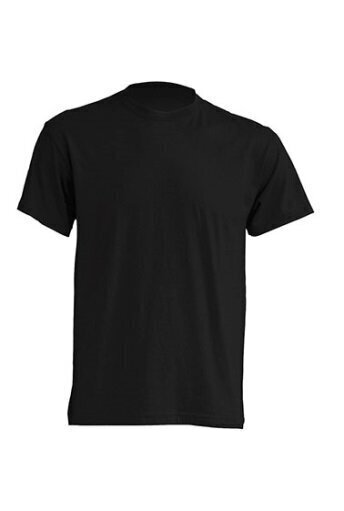 Vīriešu T-krekls (melnā krāsā) cena un informācija | Vīriešu T-krekli | 220.lv