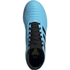 Futbola apavi Adidas Predator 19.3 IN JR G25807, 49656 cena un informācija | Futbola apavi | 220.lv