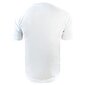 Vīriešu sporta T-krekls Givova One U MAC01-0003 цена и информация | Sporta apģērbs vīriešiem | 220.lv