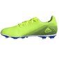 Futbola apavi Adidas X Ghosted 4 FxG M FW6953 76658 cena un informācija | Futbola apavi | 220.lv