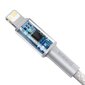 Kabelis Baseus USB Type C - Lightning 20 W, 2 m 6953156231955 cena un informācija | Savienotājkabeļi | 220.lv