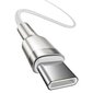 Kabelis Baseus USB Type C - USB Type C 100 W 1 m 20210316150659 цена и информация | Savienotājkabeļi | 220.lv