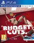 PS VR Budget Cuts