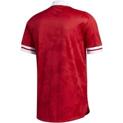 Спортивная футболка мужская Adidas Condivo 20 M FT7257 53147, красная цена и информация | Мужская спортивная одежда | 220.lv