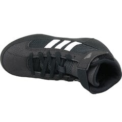 Кеды для тренировок для мальчиков Adidas Havoc K Jr AQ3327 (49208), черные цена и информация | Детская спортивная обувь | 220.lv