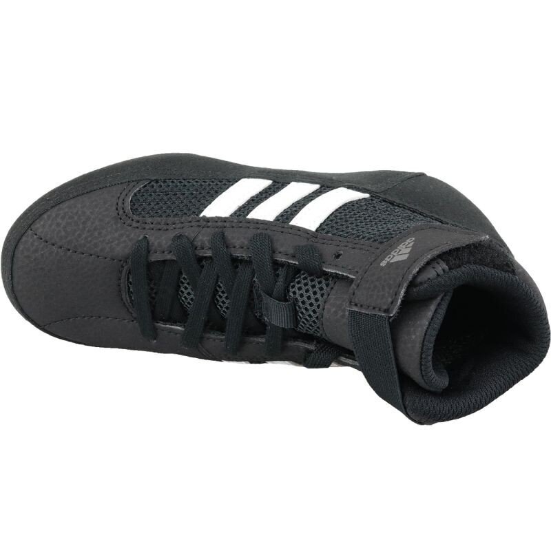 Sporta apavi Adidas Havoc K Jr AQ3327 (49208) cena un informācija | Sporta apavi bērniem | 220.lv