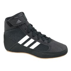 Sporta apavi Adidas Havoc K Jr AQ3327 (49208) цена и информация | Детская спортивная обувь | 220.lv