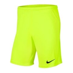 Sporta šorti zēniem Nike Park III Knit Jr. BV6865-702, 52214, zaļi цена и информация | Шорты для мальчиков | 220.lv