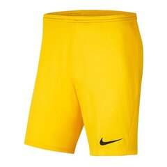 Спортивные шорты для мальчиков Nike Park III Knit Jr BV6865-719, 52295 цена и информация | Zēnu šorti | 220.lv