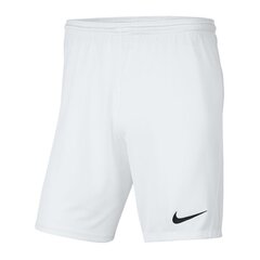 Спортивные шорты для мальчиков Nike Park III Knit Jr BV6865-100, 52320, белые цена и информация | Шорты для мальчиков | 220.lv