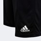 Sporta šorti zēniem Adidas Y Sst 3S Short Jr FN5667 cena un informācija | Zēnu šorti | 220.lv