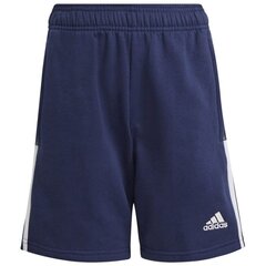 Спортивные шорты для мальчиков Adidas Tiro 21 Sweat Short Jr GK9679 цена и информация | Zēnu šorti | 220.lv