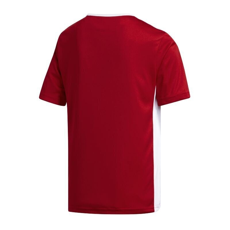 T-krekls zēniem Adidas Entrada 18 Jr CF1050, sarkans cena un informācija | Zēnu krekli | 220.lv