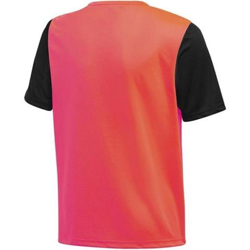 Sporta T-krekls zēniem Adidas Estro 19 Jr FR7118 цена и информация | Zēnu krekli | 220.lv
