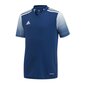 Sporta T-krekls zēniem Adidas Regista 20 Jr FI4561, 53249 цена и информация | Zēnu krekli | 220.lv