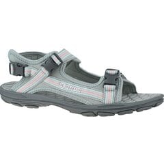 Sieviešu sandales Kappa Rusheen T Jr 260773T-1421, pelēkas цена и информация | Детские сандали | 220.lv