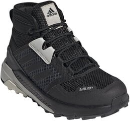 Adidas Обувь Terrex Trailmaker Mid R.Rdy K Black FW9322/5 цена и информация | Коричневые детские сапоги S&O | 220.lv