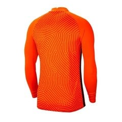 Мужская спортивная футболка Nike Gardien III GK LS M BV6711-803, 54546 цена и информация | Мужская спортивная одежда | 220.lv