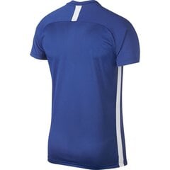 Nike мужские футболки M Dry Academy SS M AJ9996 480, синяя цена и информация | Мужская спортивная одежда | 220.lv